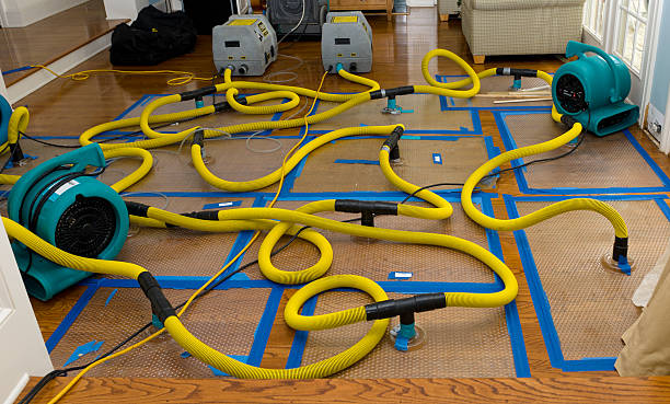 Professional Water Damage Repair technician working in Warsaw, NC